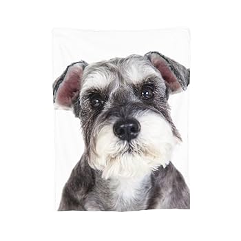シュナウザー毛布セット シュナウザー毛布セット 楽天市場】シュナウザー ブランケットの通販