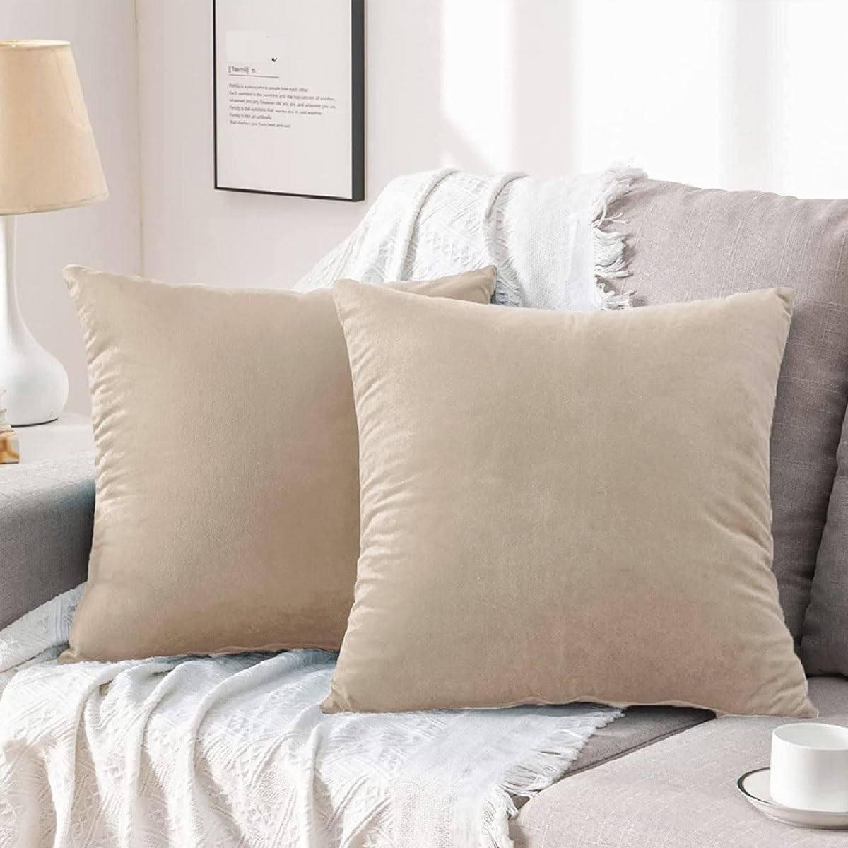 Swj-Swjssb Beige Sofa Throw Pillow Covers Set Of 2 Pillow Cases Velvet Decorative Soft Pillow Cover Lumbar Cushion Case With Zip Couch Pillowcases For Sofa Bed Home Decorative(,40X40 Cm Set Of 2)