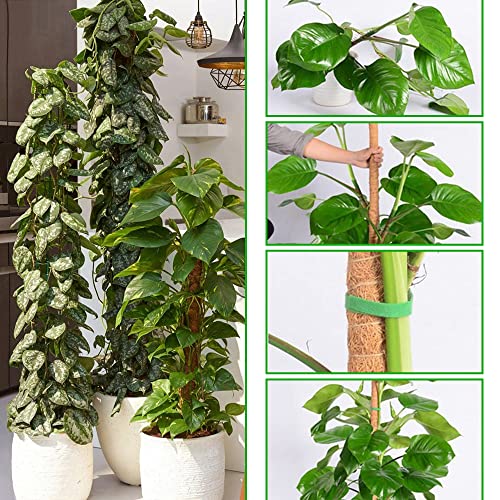 2 Pack 45" Bendable Moss Pole For Climbing Plants, Monstera Moss Poles Coco Coir Plant Stakes, Slim Moss Stick, Potted Plants Support Stakes, Perfect For Small Medium Climbing Plant Growth Indoor #TOP3