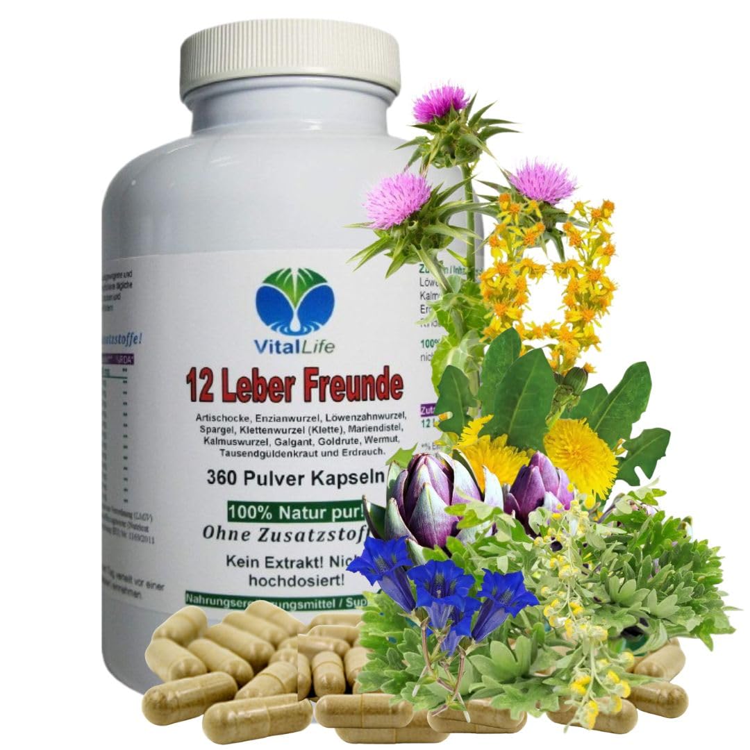 LEBER Vital Komplex 360 KAPSELN 12 Leberfreunde plus Leberkräuter Bitterkräuter Bitterstoffe MARIENDISTEL ARTISCHOCKE LÖWENZAHN WERMUT ENZIAN...100% NATUR pur. OHNE Zusatzstoffe 26314