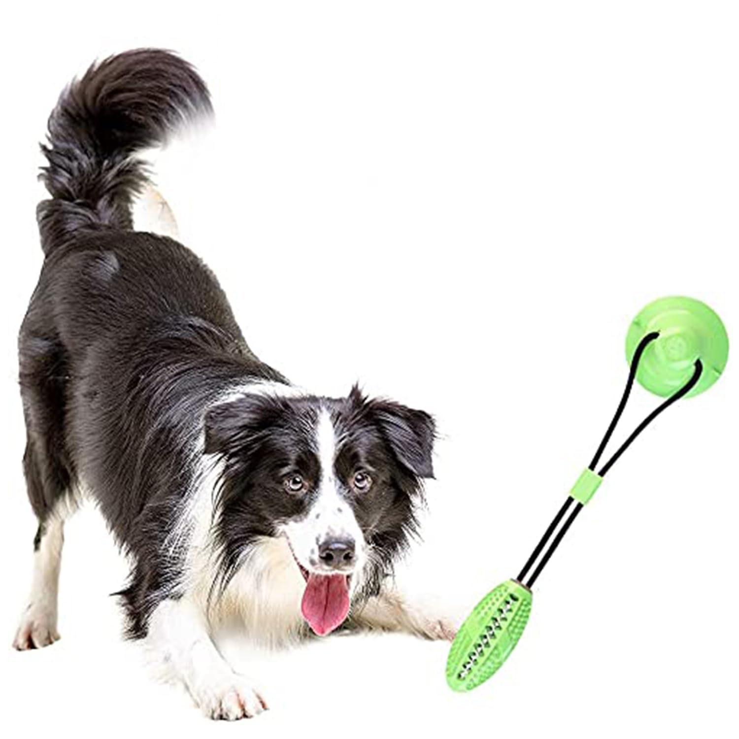 See full amazon price history chart for Emily Pets Dog Chew Toy for Aggressive Chewers, Dogs Teeth Cleaning Rope Toys, Interactive Toy for Puppy, Dog Puzzle Treat Food Dispensing Ball Squeaky Toy for Large & Medium Dog Puppy (Green) Emily Pets Dog Chew Toy for Aggressive Chewers, Dogs Teeth Cleaning Rope Toys, Interactive Toy for Puppy, Dog Puzzle Treat Food Dispensing Ball Squeaky Toy for Large & Medium Dog Puppy (Green) (B091HYMWXY) Amazon Price History, Amazon Price Tracker