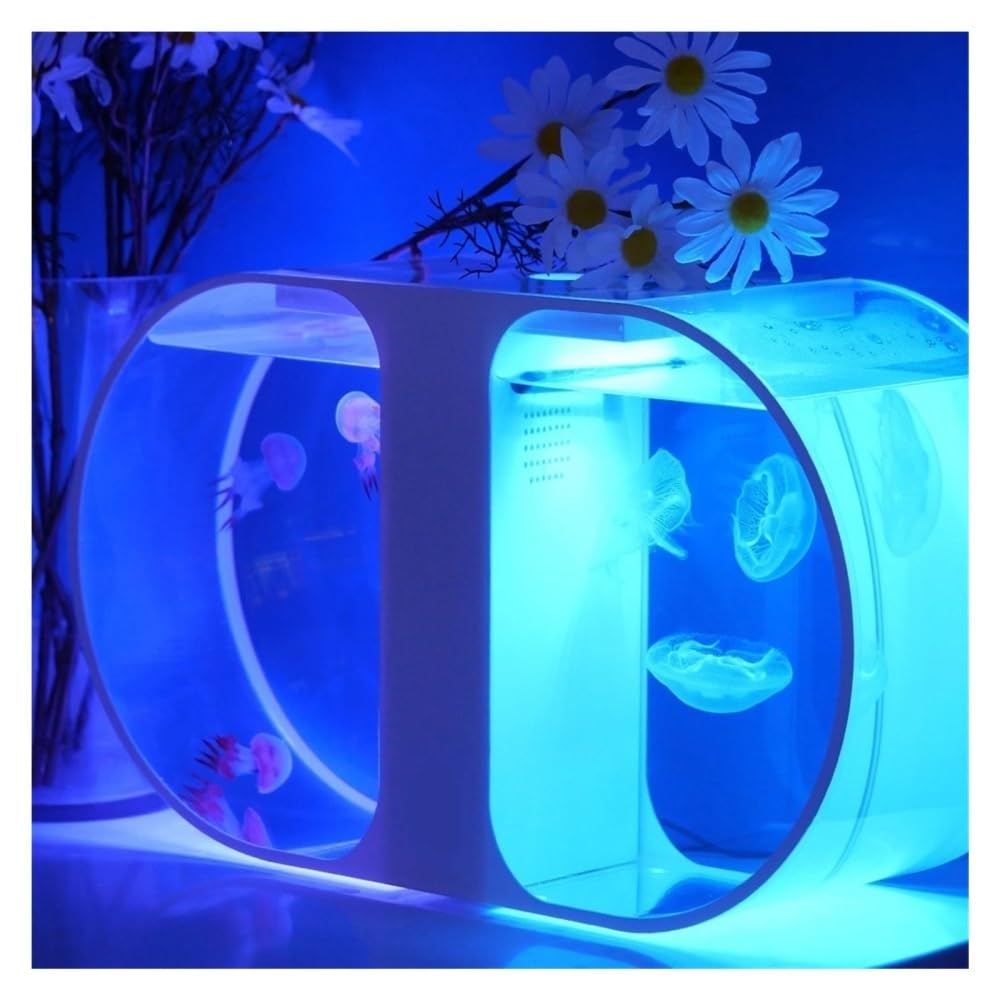Aquarium Fischbecken mit Zwei Quallen, kleines dekoratives Schreibtisch-Aquarium, Büro- und Heimdekoration