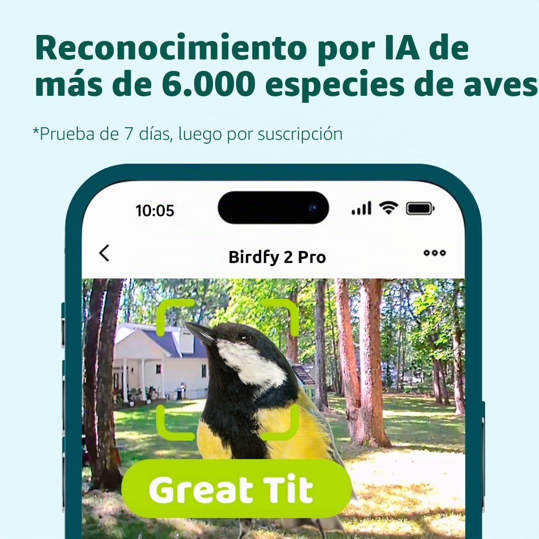Birdfy 2 Pro - Alimentador de pájaros con 2 K Dual-Camera para observación, identificación de Especies de Aves AI, Video a cámara Lenta, visión Nocturna en Color, notificaciones en Tiempo Real