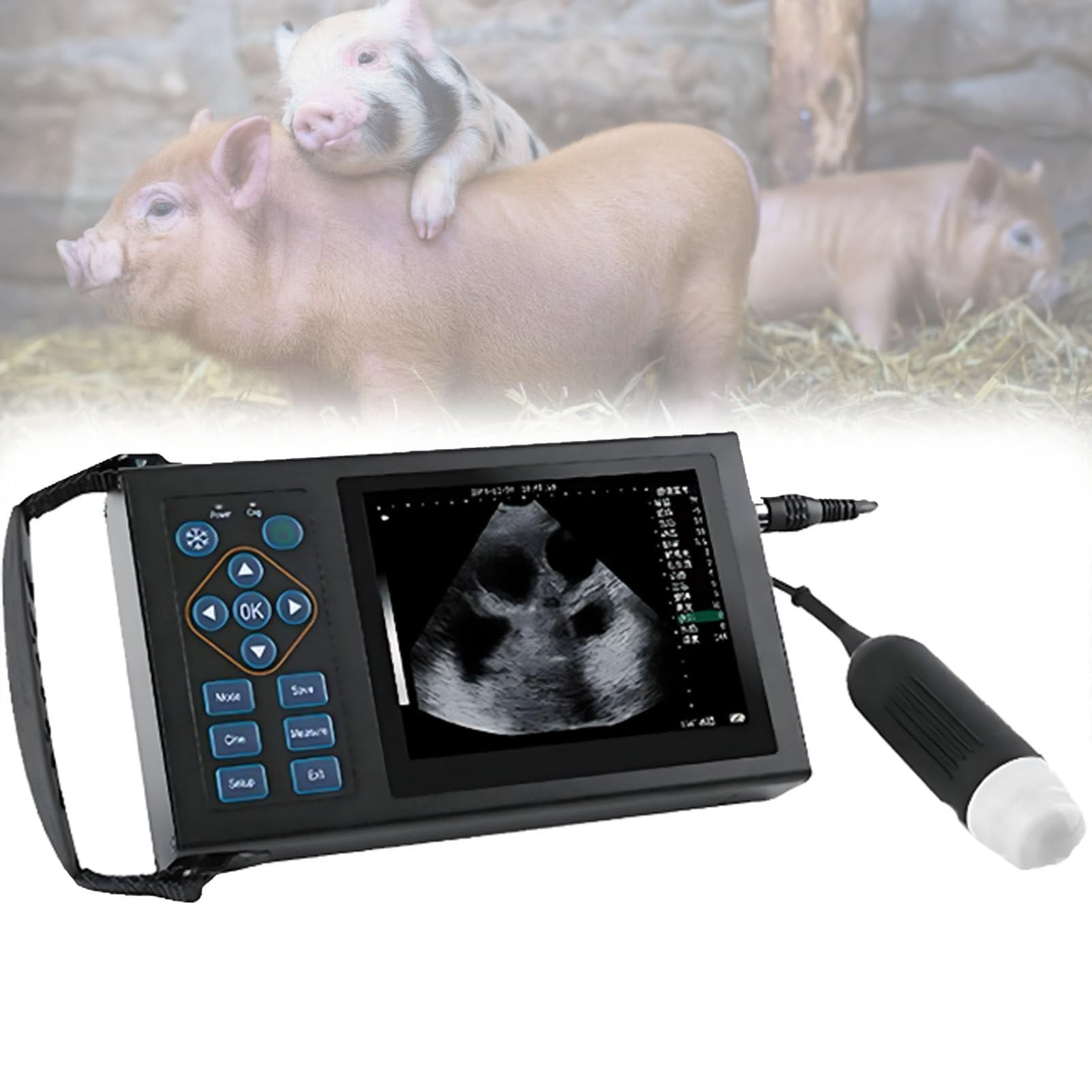 éChographe VéTéRinaire, Appareil D'éChographie VéTéRinaire B avec Sonde 3,5/6,5 MHz pour Le ContrôLe De La Conception des Animaux D'éLevage D