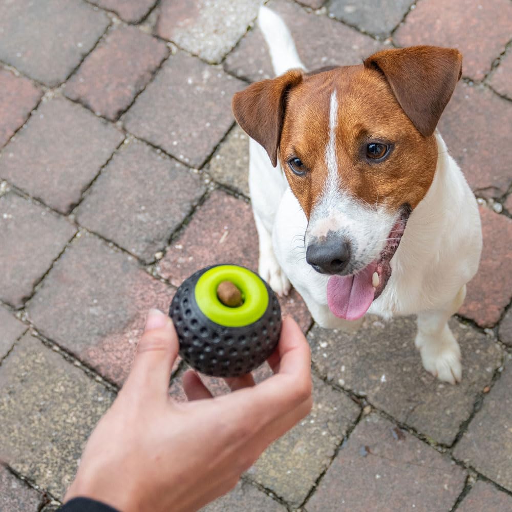 Ferplast Gioco Cane, Dispenser Crocchette Cani, in Materiale Durevole, Atossico, Resistente ai Morsi, Igiene Dentale del Cane, Rimbalza e Galleggia, CHEWA BOING Pallina Porta Crocchette Cani, Nero