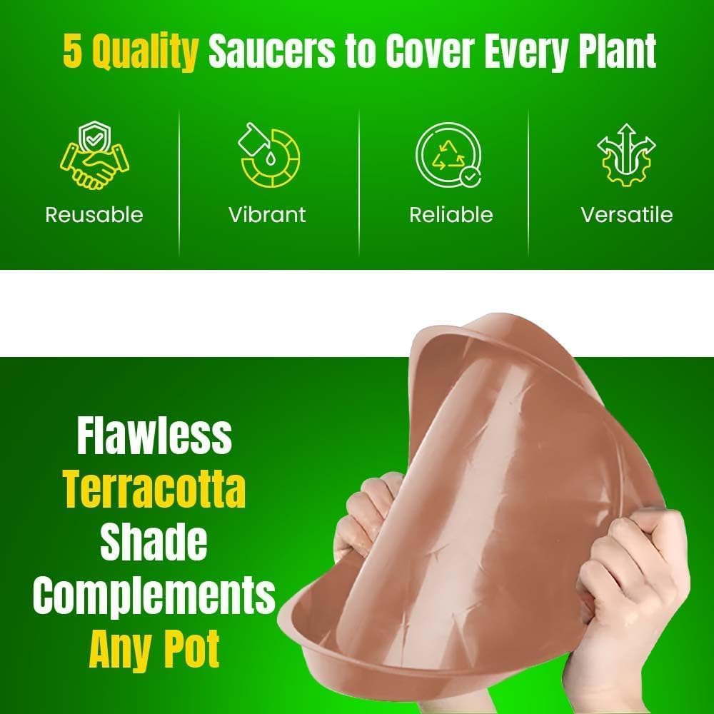 View 5