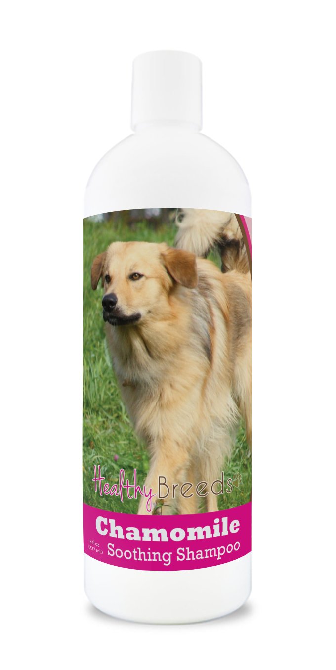 Healthy Breeds Yorkshire Terrier Chamomile Soothing Dog Shampoo 8 oz — view 41