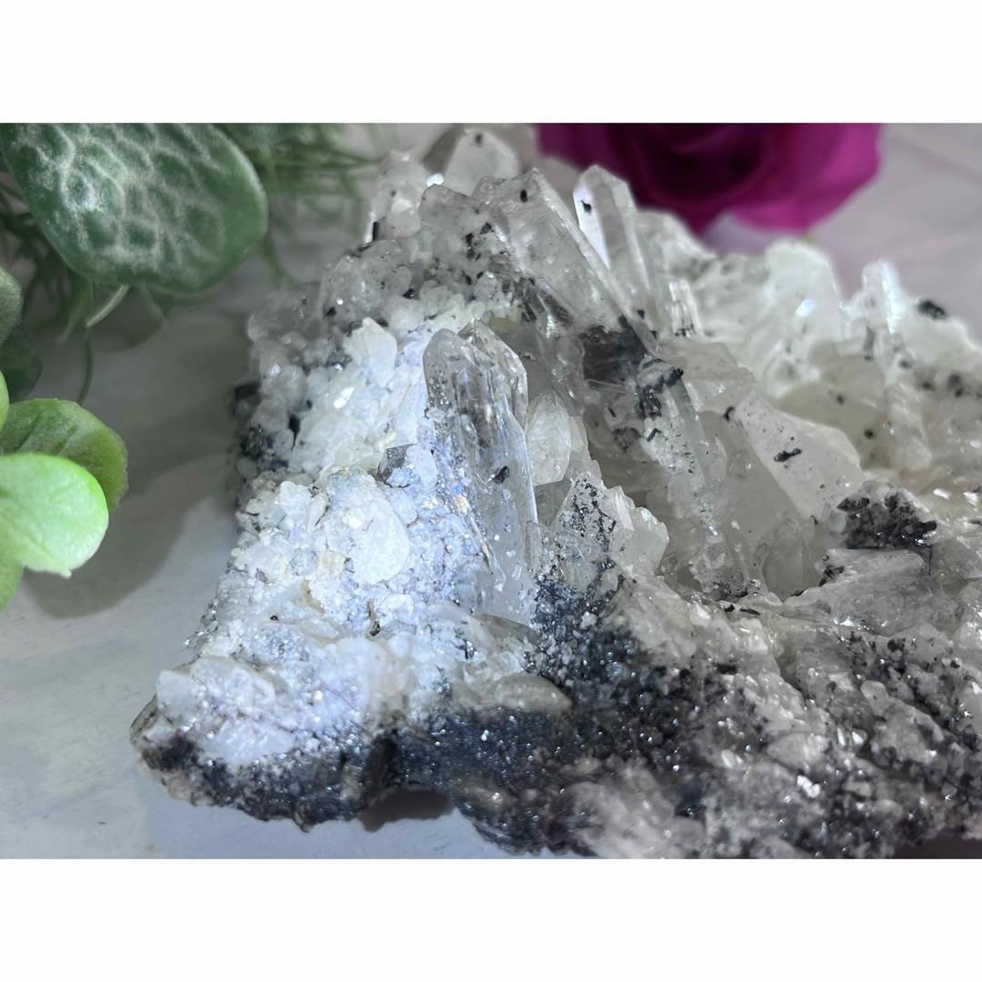 Amazon.co.jp: ガレナ共生 レインボー ミナスジェライス州  