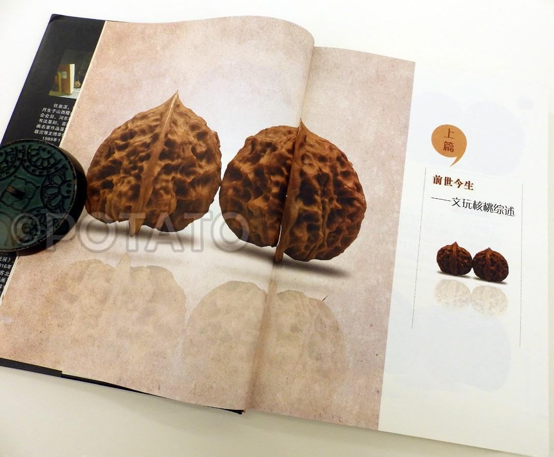 Amazon.co.jp: 中国語書籍： 文玩核桃: 核桃定收藏与把玩 : おもちゃ