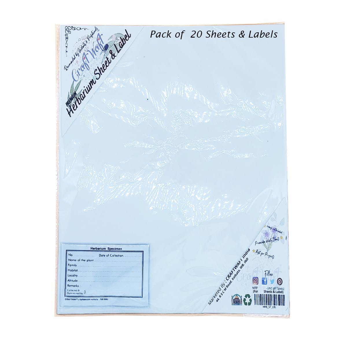CRAFTWAFT Next GEN Herbarium Sheets with Printed Labels New Improved 14X11 INCH 120 GSM Project Paper (Super Matte White) (20)-image-4