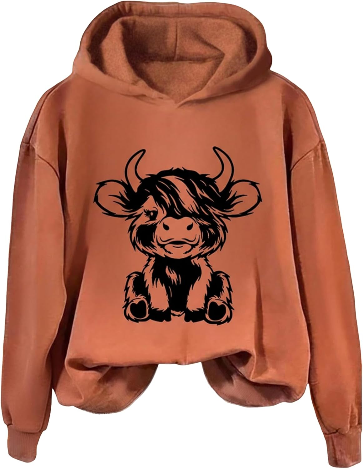WDIRARA Girl's Graphic Hoodies Long Sleeve Hooded Thermal Sweatshirts Cute Pullover Tops