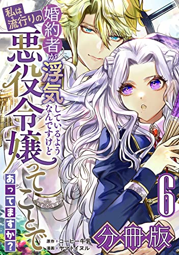 婚約者が浮気しているようなんですけど私は流行りの悪役令嬢ってことであってますか?【分冊版】6