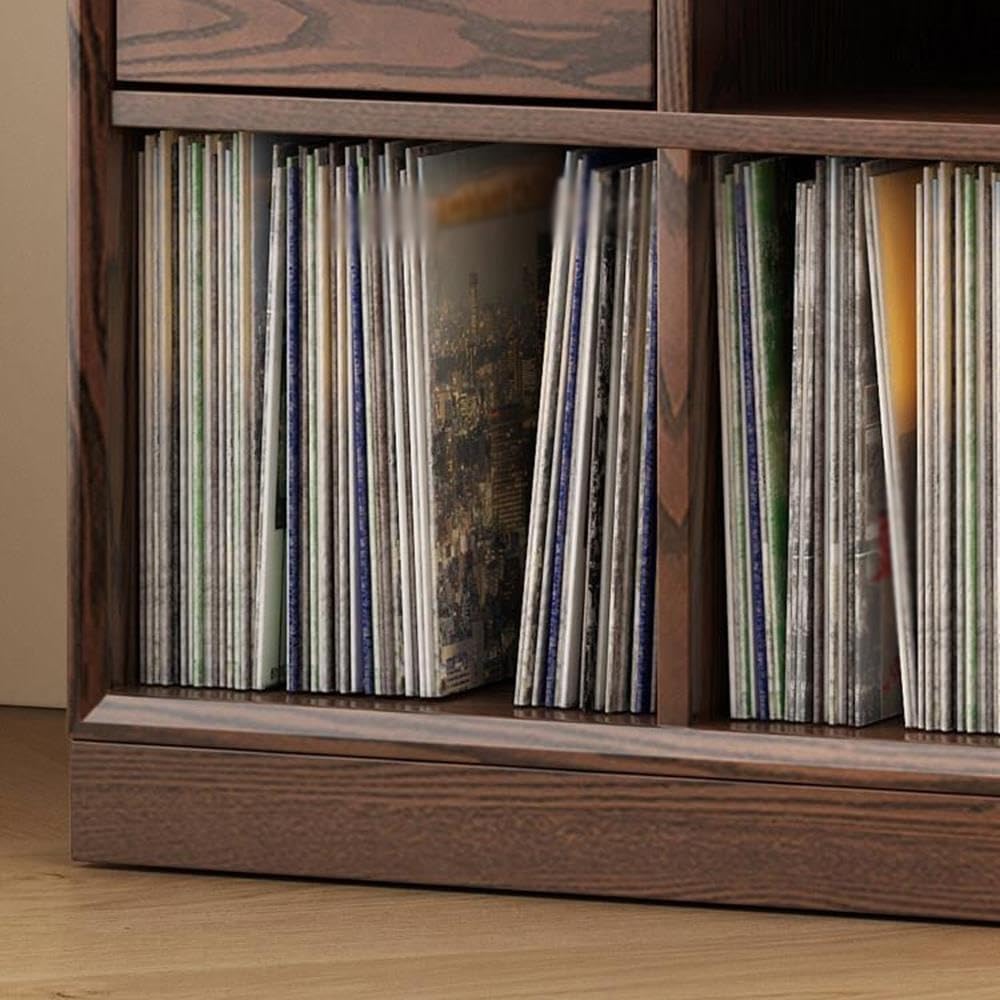 Stojak na płyty CD Szafka boczna z półką na książki litego drewna