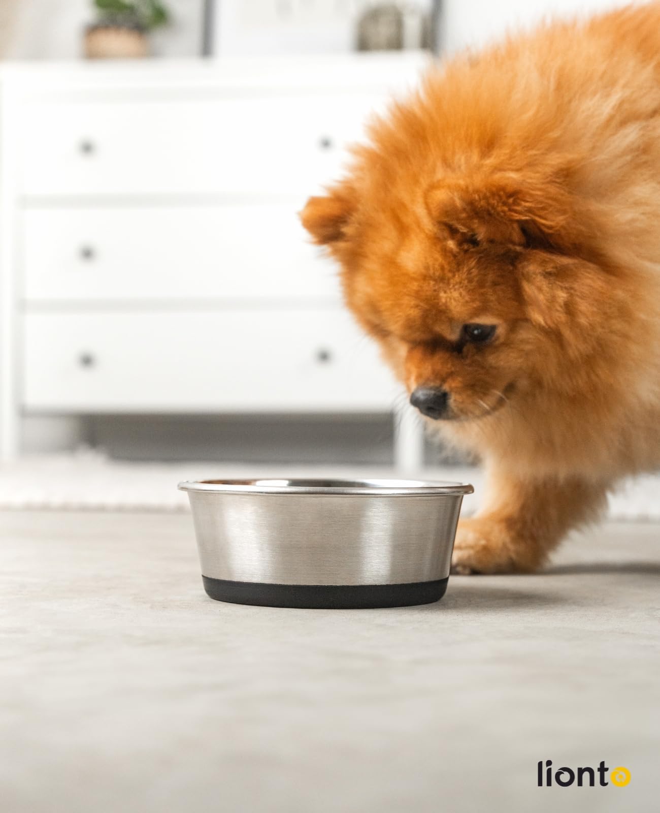 lionto Ciotola per cibo in acciaio inox, 600 ml, ciotola per cani per alimenti con fondo in silicone antiscivolo, ciotola per acqua per cani e gatti, lavabile in lavastoviglie