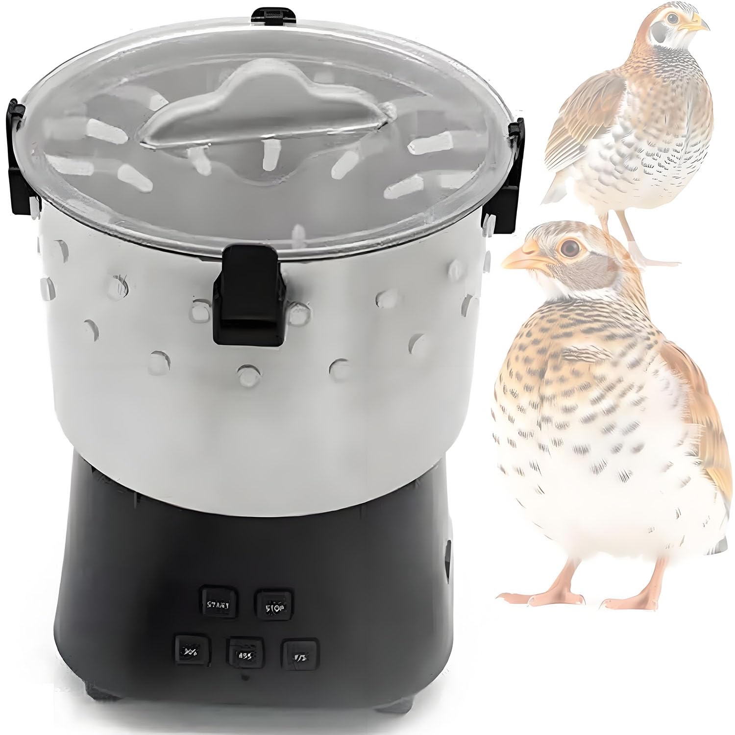 Desplumador automático de codorniz mini depilador de pájaros y palomas de acero inoxidable