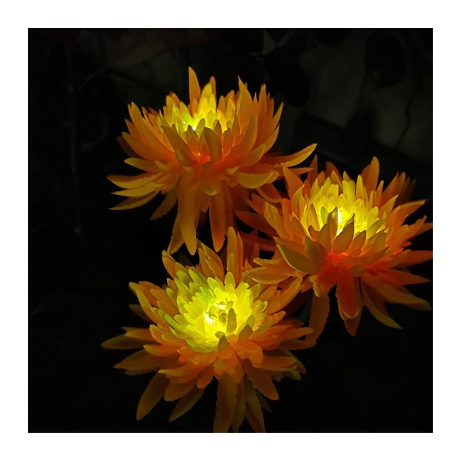 BuTkus Confezione da 4 luci solari da Giardino for Esterni, con Fiori di crisantemo a 3 Teste, Impermeabili (Color : Four Pink)