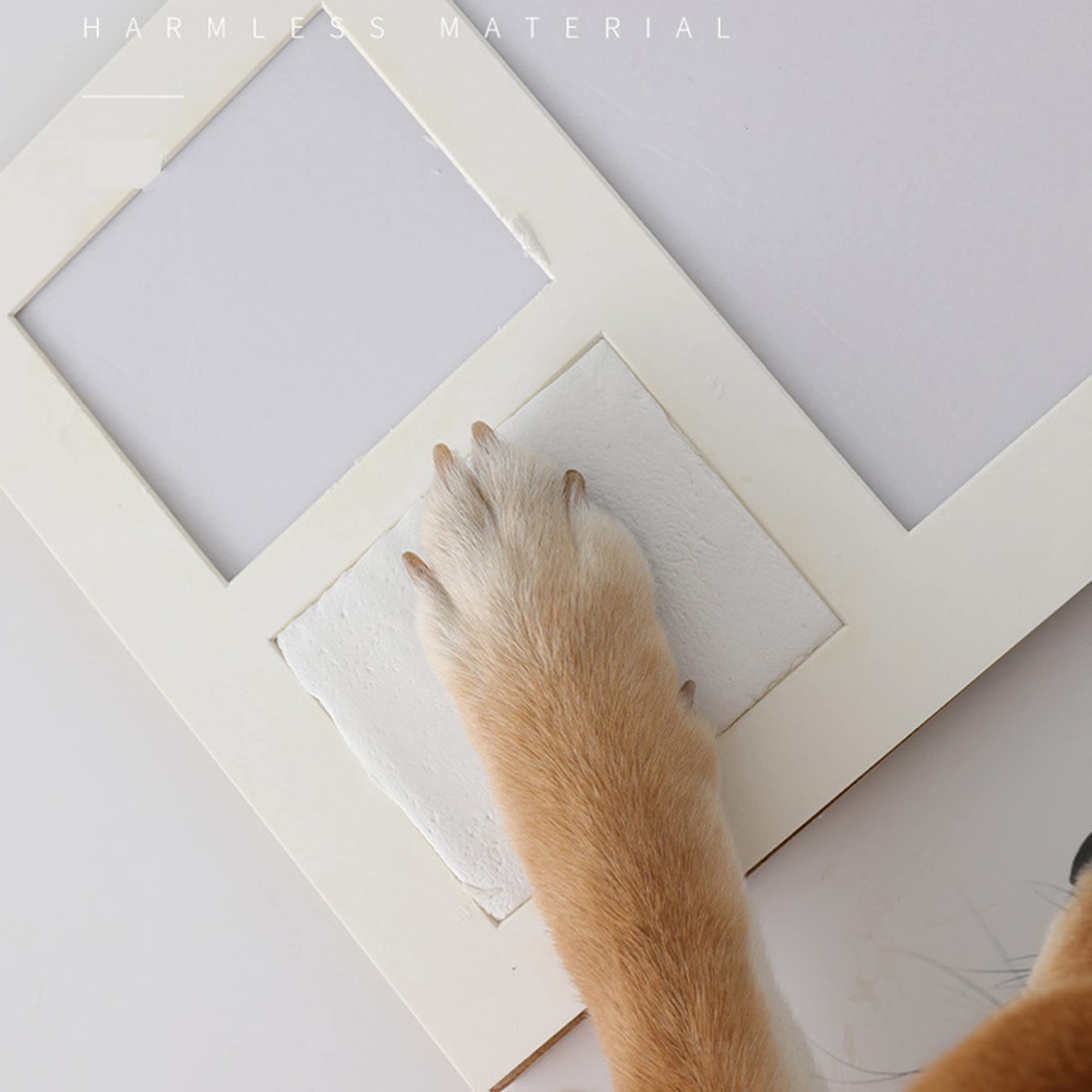 Dog Cat Keepsake Pet Memorial Photo Frame With Clay Paw Print Kit ...
