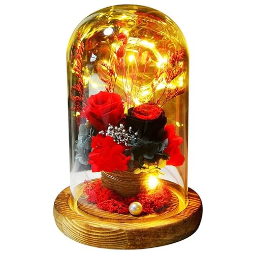 vU[uht[Mtg KX|bg P[XuU[ht[KN hCt[ AW Mtgỉ җj  ̓ j ސEjJXj zj bh