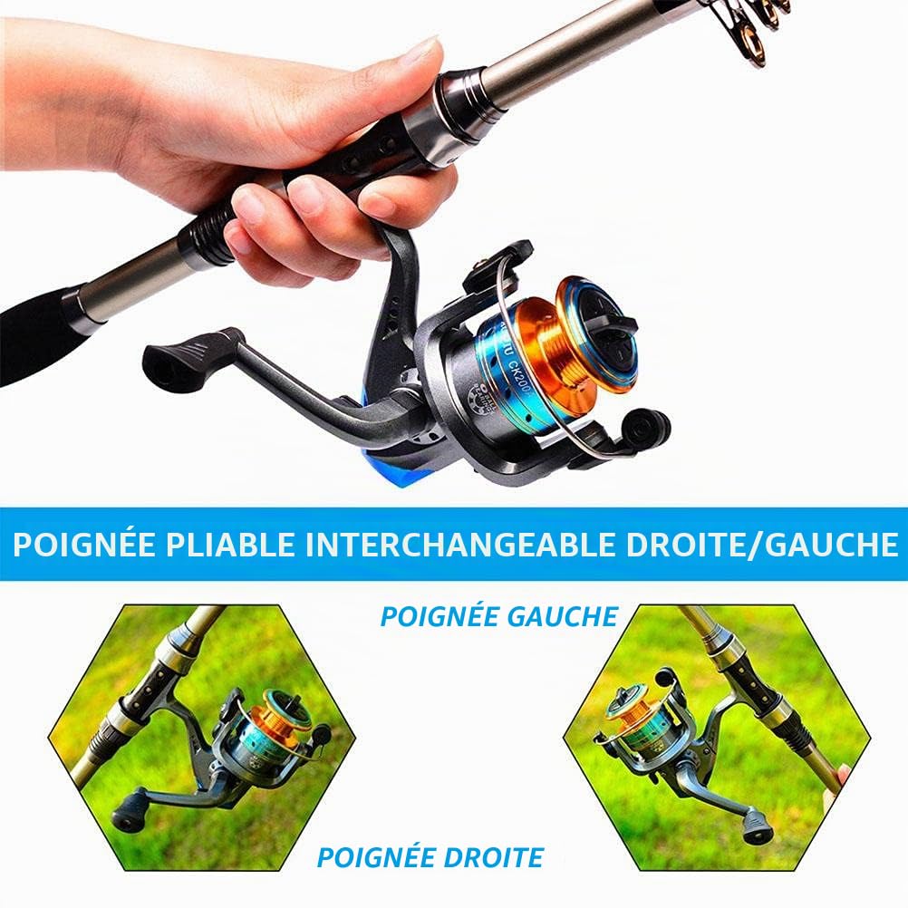 Canne à pêche télescopique avec moulinet de pêche avec moulinet de pêche Ensemble d'accessoires de pêche avec sac de transport