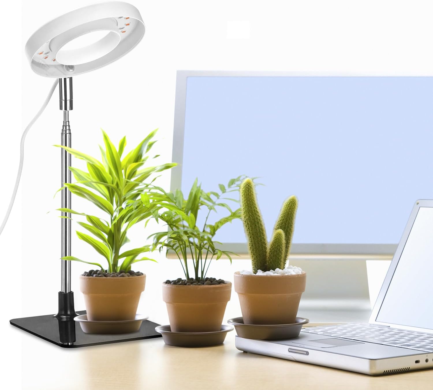 QWORK Grow Lights for Indoor Plants, 3 Pack Full Spectrum LED Desk Grow Lamp, 7-25 in Adjustable Height, Auto Timer 2/4/8H, 4 Dimmable Levels, USB Powered