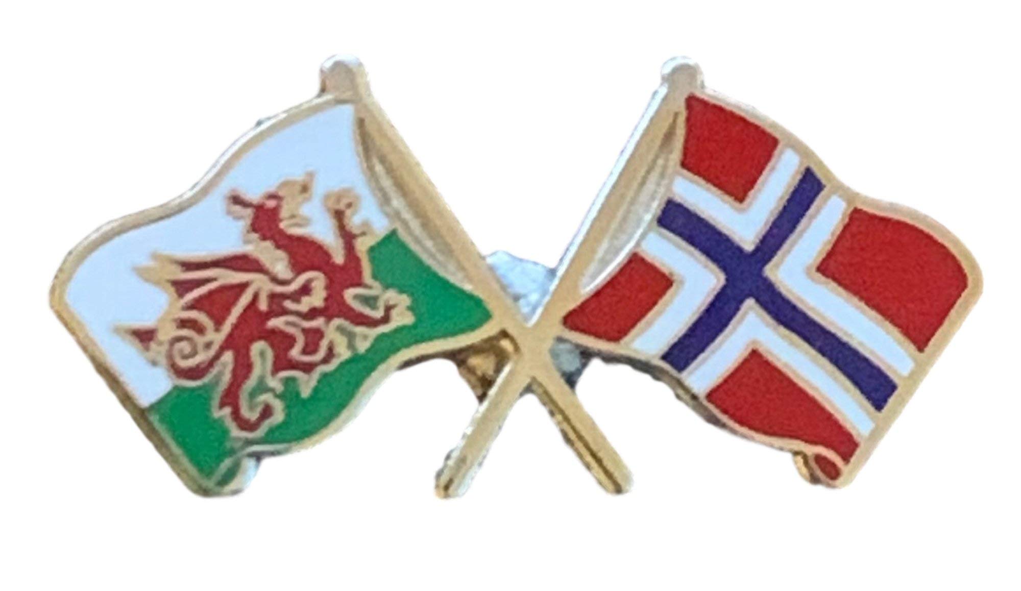 Wales & Norway Flags Friendship Courtesy Enamel Lapel Pin Badge T382