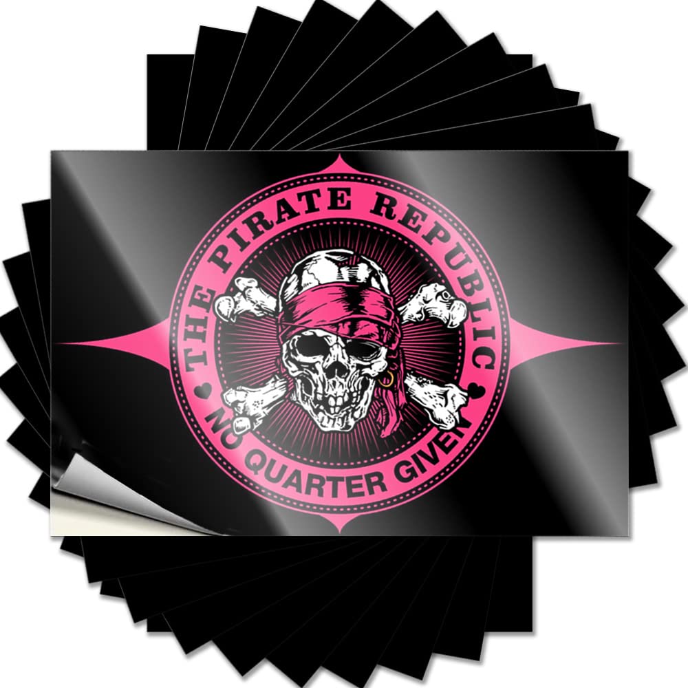 Fzfn Colour Sticker Must Vinyl Sticker | Pirate Republic Pink Affirmation For Motorcycle Use(12X18cm)