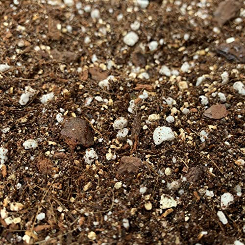 Calathea, Maranta & Stromanthe Potting Mix (Prayer Plants) (5 LITRES)