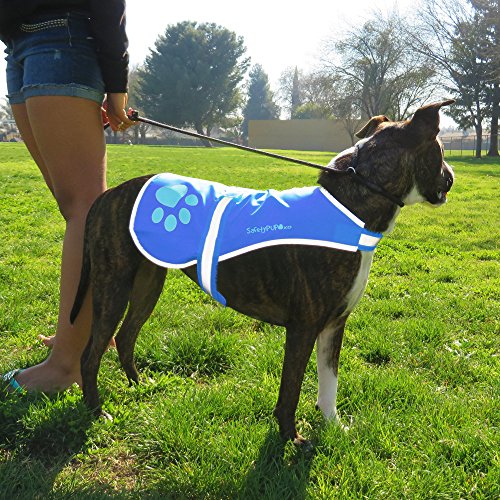 Safetypup Xd EA-4HH5-HI0C Dog Reflective Vest, Sizes To Fit Dogs 14 Lbs To 130 Lbs Hi Vis thumb #2