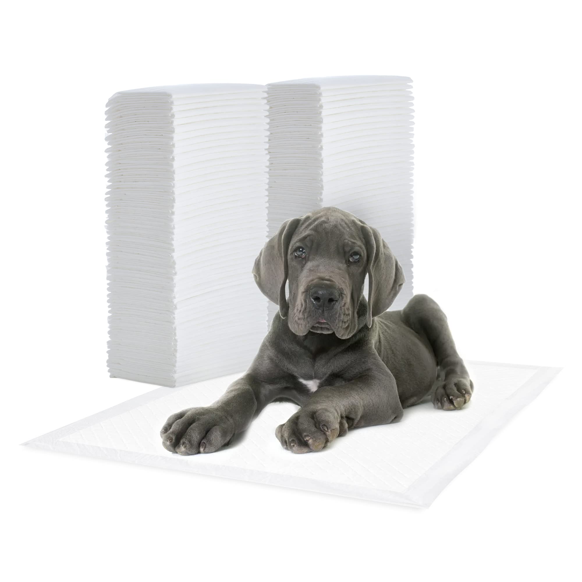 Alèse pour chien au quotidien tapis éducateur hygiène chiot appartement et voyage