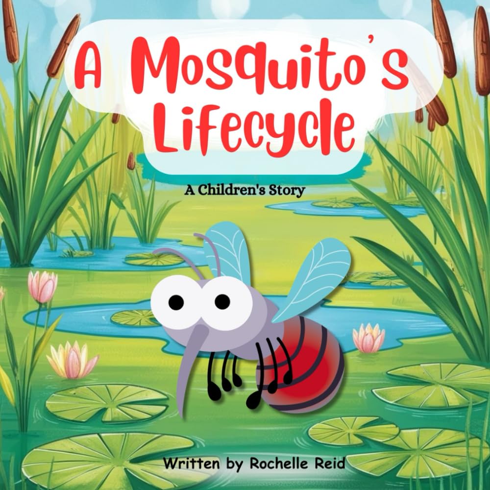 A Mosquito’s Lifecycle