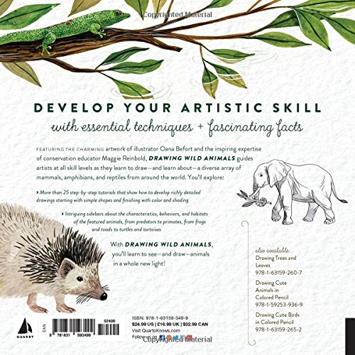 Drawing Wild Animals: Essential Techniques and Fascinating Facts for the Curious Artist, 215.9mm x 215.9mm - Image 3