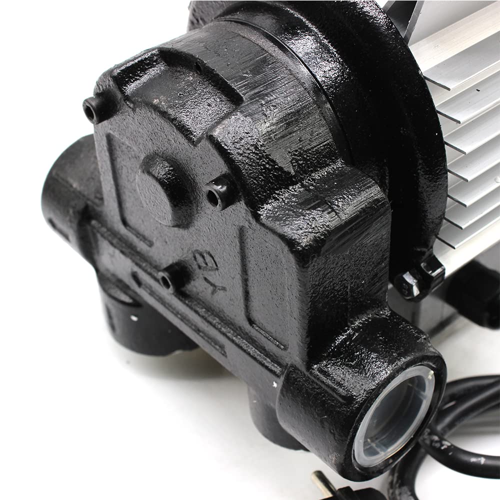 Pompa diesel 220V 550W, pompa di aspirazione dell'olio, pompa per olio combustibile, pompa dell'olio, biodiesel autoadescante, set diesel, pompa di travaso, estrattore di fluidi, a basso