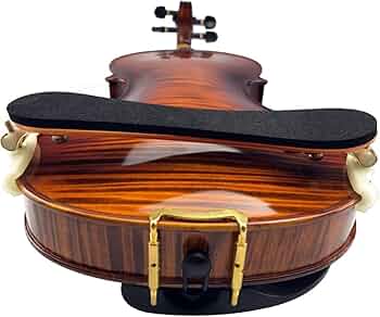 61owW1X4ePL._AC_UF350,