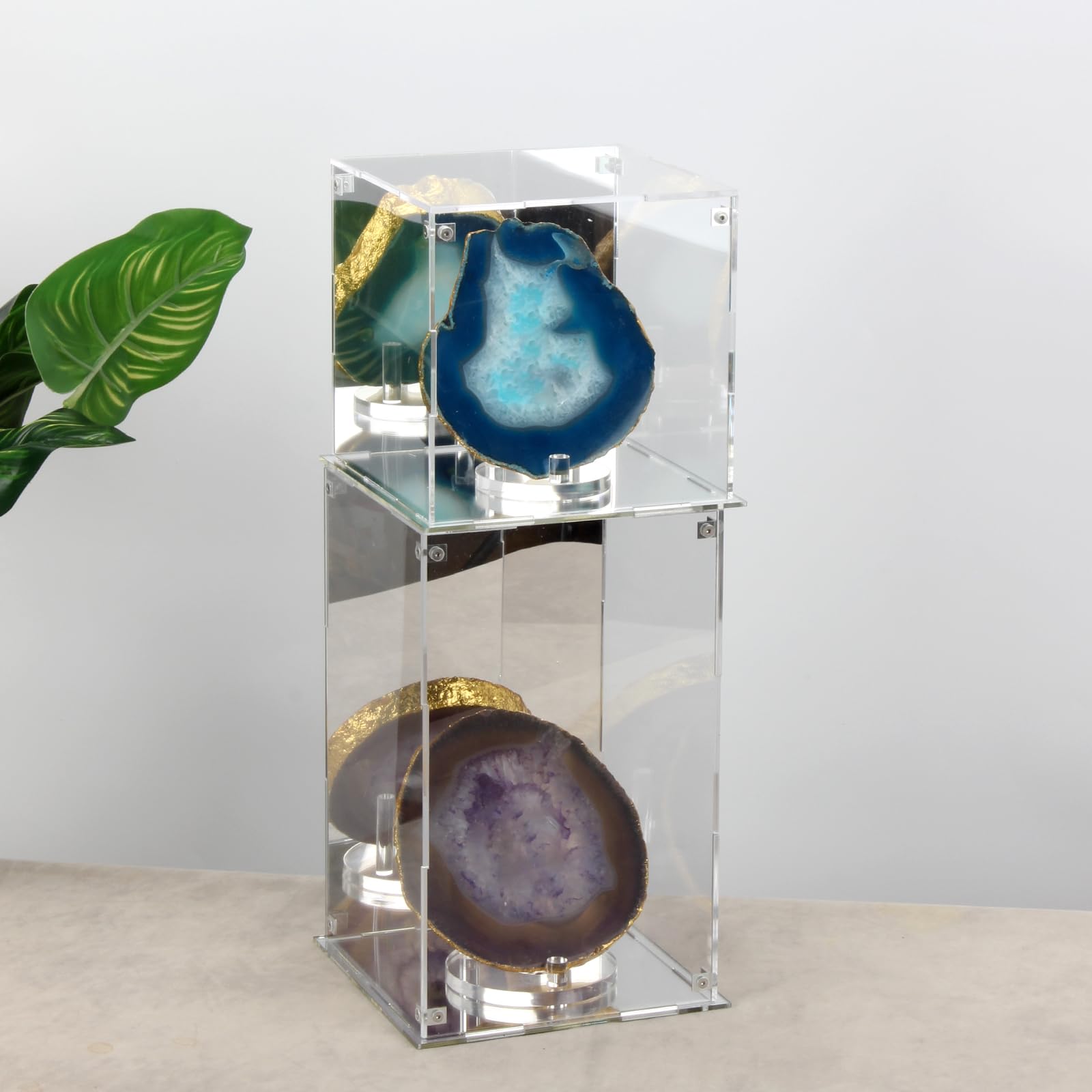 Caja de acrílico Transparente con Parte Trasera y Base de Espejo, Vitrina extraíble con Tapa para coleccionables, Caja de Almacenamiento Decorativa para Mostrar Figuras de acción, Juguetes
