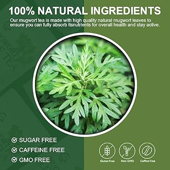 mugwort benefits () mugwort benefits