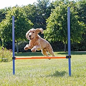 TRIXIE Dog Agility Hurdle – Dog Jump with Height Adjustable Crossbar, Dog Agility Hurdle Ideal for Beginners & Advanced, Dog Agility Equipment for Dog Obstacle Courses – 1 x Dog Hurdle