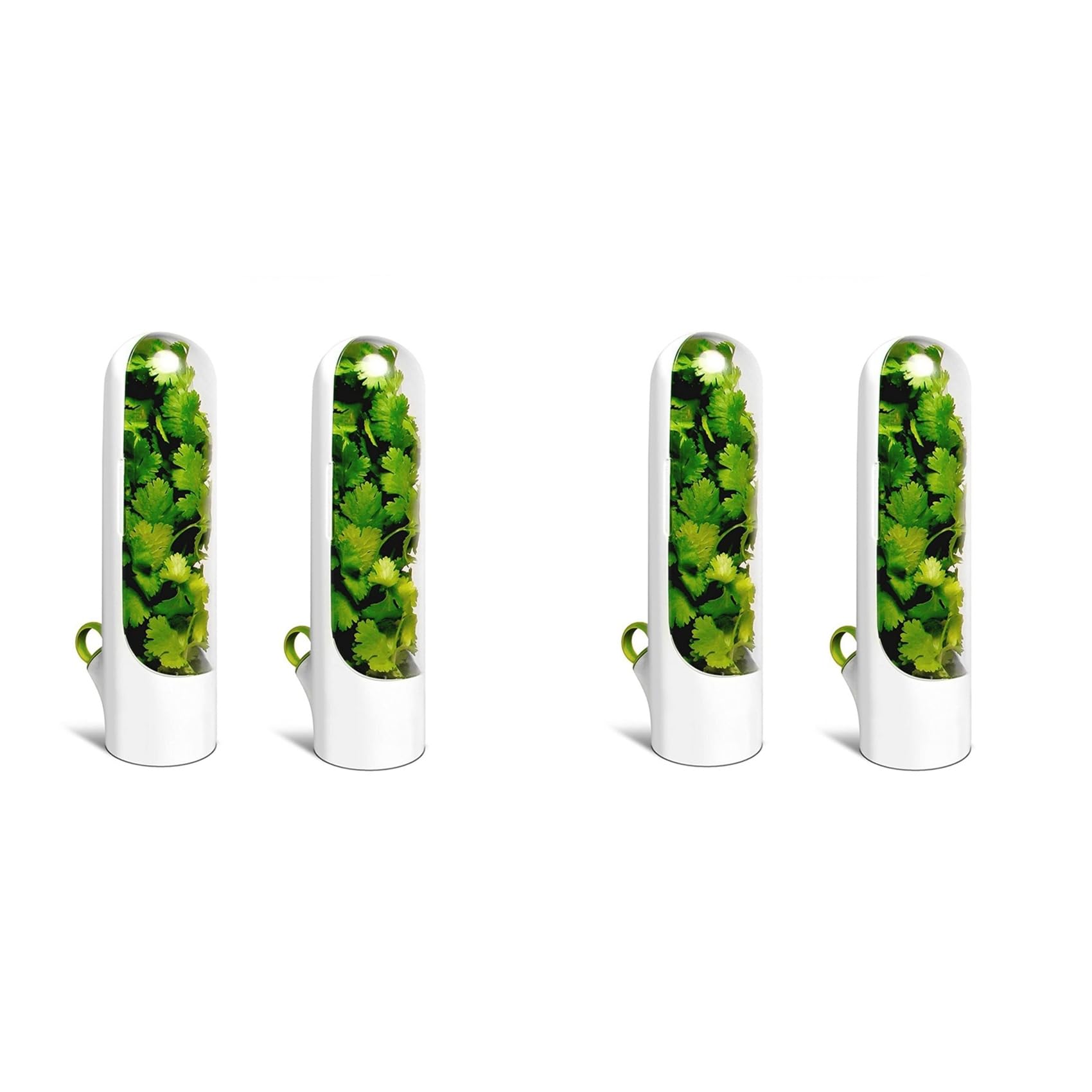 Hndhbfgrt 4PCS Capsule Case -Keeping Box Cup Type Food Storage Container Vegetable Preservation for Dill Coriander