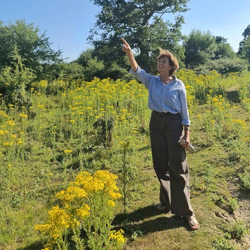 313. A quest to find storks and turtle doves at Knepp Wildlands - with Isabella Tree Podcast Por arte de portada