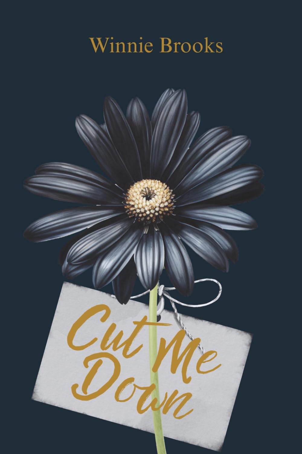 Cut Me Down: A Dark Stalker Romance (Descent To Darkness)
