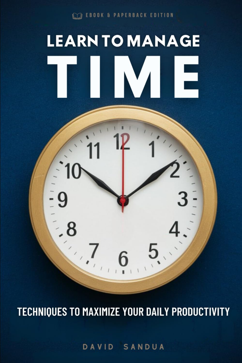 LEARN TO MANAGE TIME: TECHNIQUES TO MAXIMIZE YOUR DAILY PRODUCTIVITY