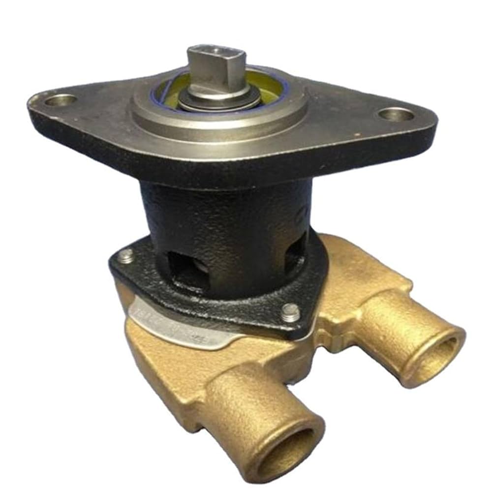 “グッモーーニン☆”戸山香澄 SSP BD/WE49-32SSP Amazon.com: Haiyazhma Water Pump 132-0459 0132-0459 0132