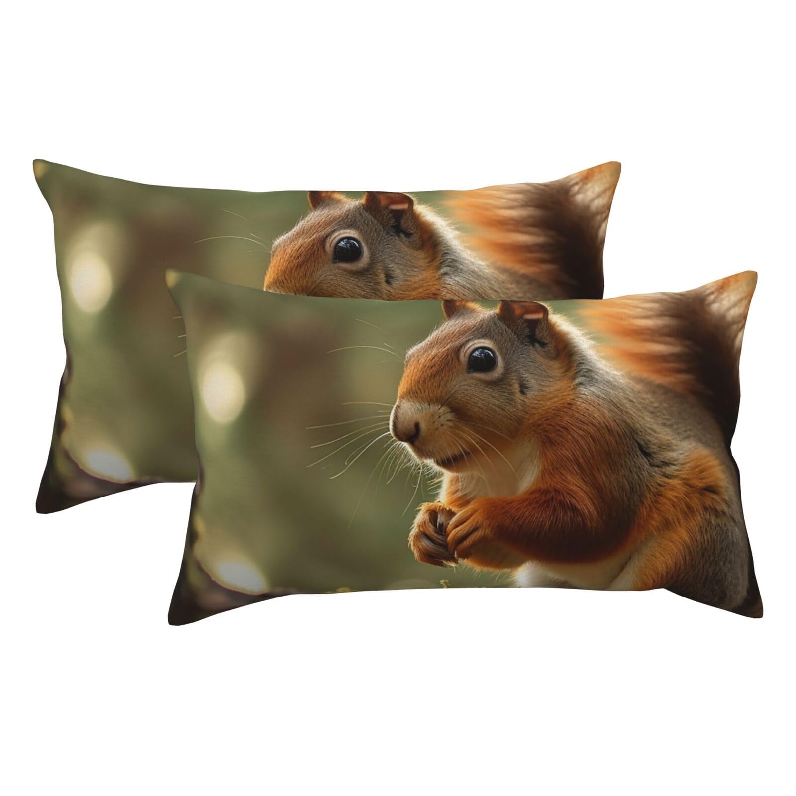 2 Pack King Pillow Cases with Hidden Zipper, Soft Breathable Pillow Covers for Hair and Skin, Wildlife Forest Squirrel Pillowcases 20"x36" Bed Pillow Protectors Cover for Sleeping Gifts