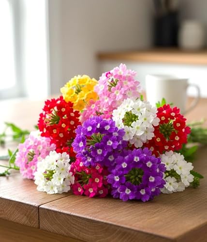 Seeds Garden Verbena Mix Verbena Hybrida Pendula 200+ Seeds