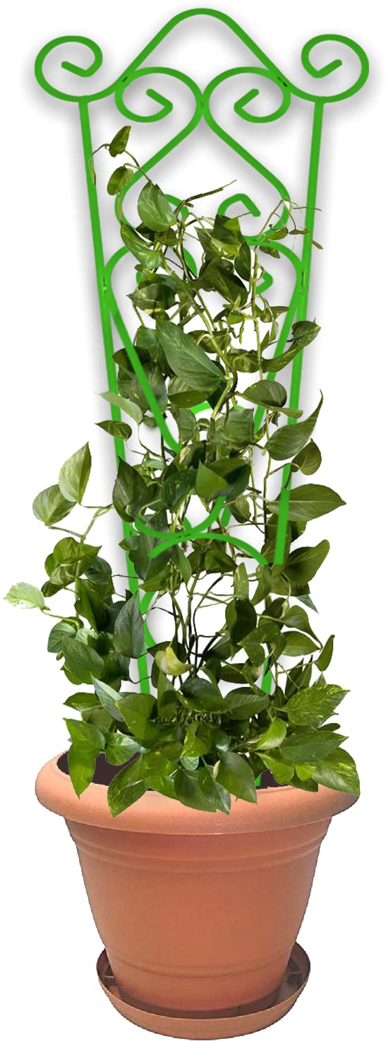 Jabox 24 Inches Super Long and Strong Trellis, Plant Support, Plant Suporters for Climbing Vines and Plants, Rust Resistance, Strong Metal, Green [68.5 X 24 CM] (Green-Pack-1, Metal-24 Inch) (B0BYN7654W) Amazon Price History, Amazon Price Tracker