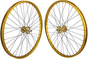 61ox4lomv3L._AC_UF350,