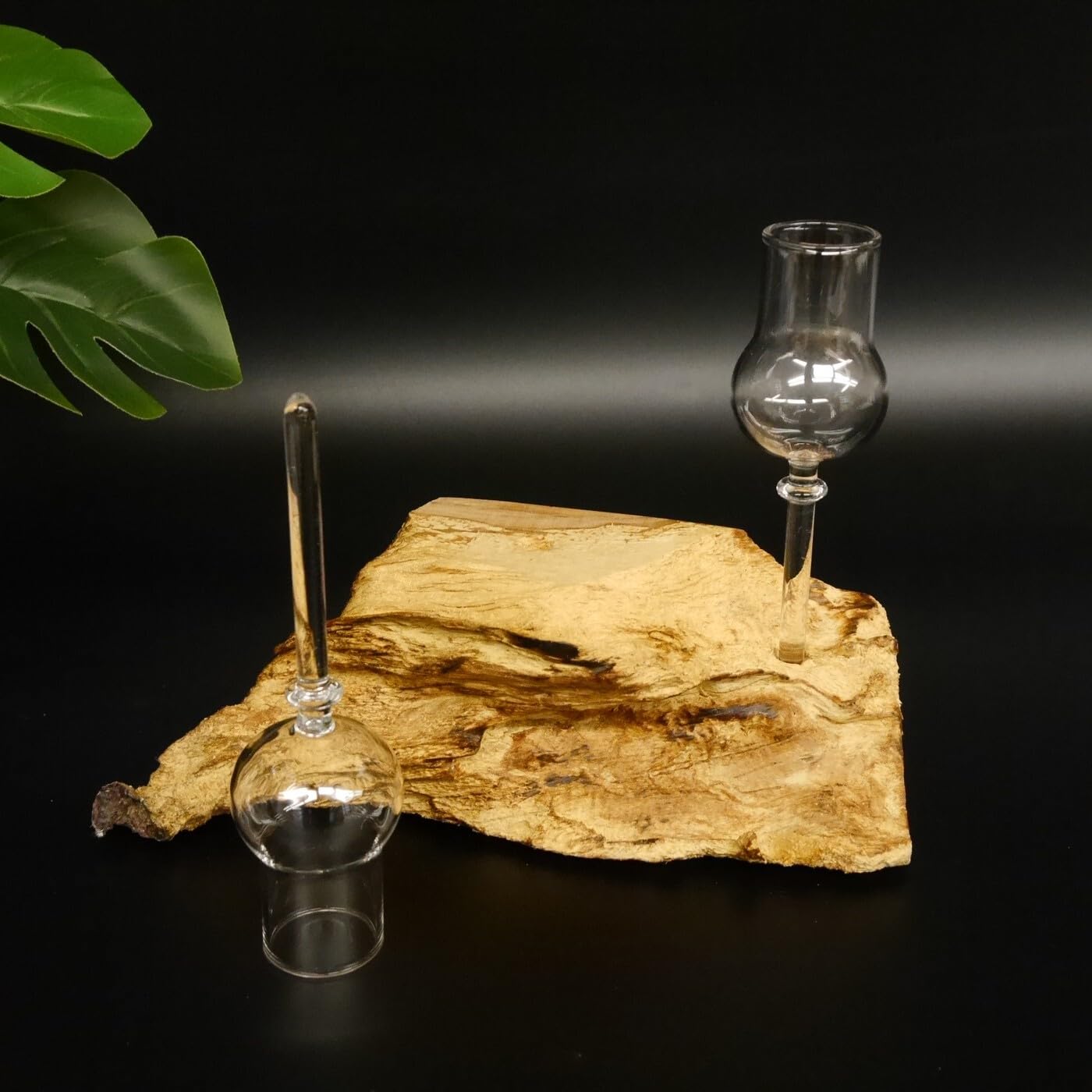 GTK Geweihe & Trophäen Krumholz 27.60.1.77 Lot de 2 verres à shot avec pied sur racine