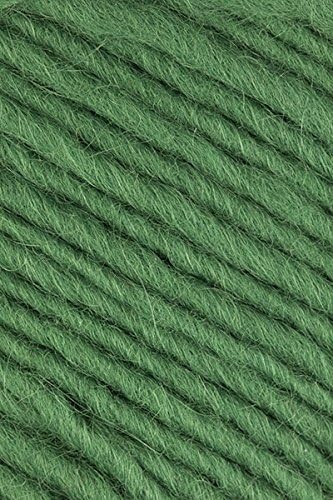 Brown Sheep - Lambs Pride Worsted Knitting Yarn - Emerald Green (# 147)