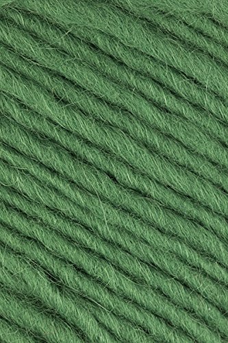 Brown Sheep - Lambs Pride Worsted Knitting Yarn - Emerald Green (# 147)