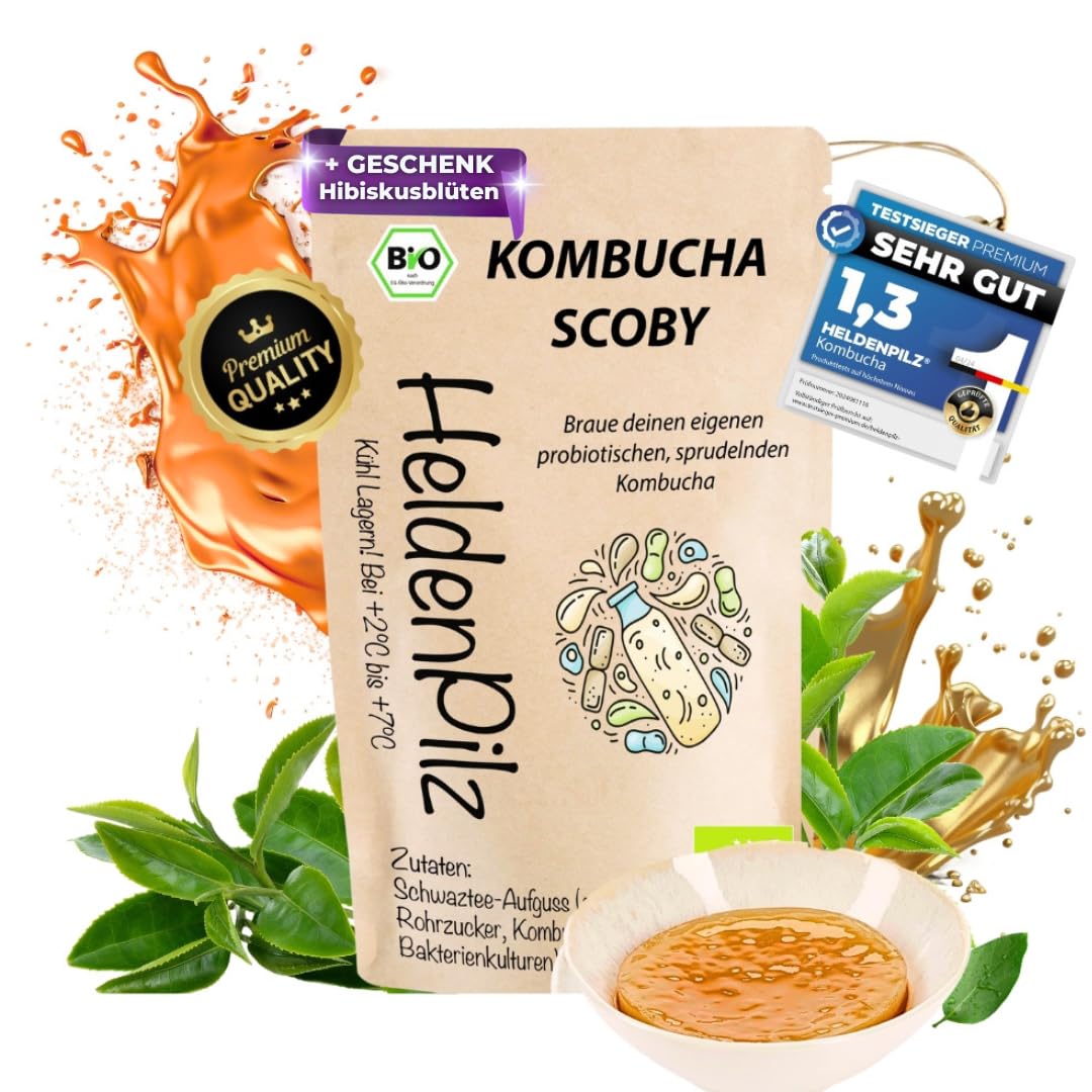 HeldenPilz Kombucha - Scoby vital y potente con líquido de raíz | Para 6 l de kombucha | Garantía de éxito, 100% natural, duradero