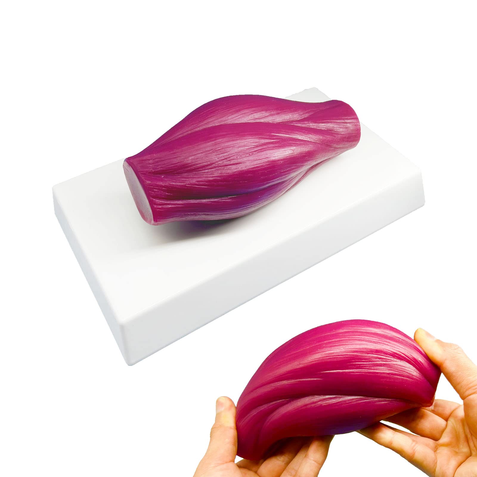 Veipho 1 lb of Muscles Model, 1 Pound of Human Muscle Anatomy Replica, Elastic Human Muscle Model with Base for Teaching, Anatomy and Physiology